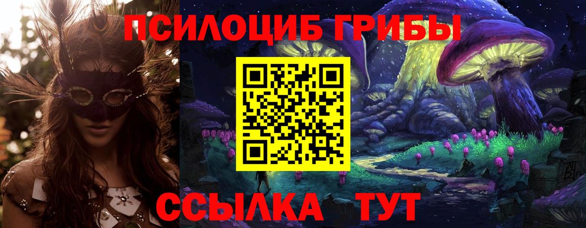 Псилоцибиновые грибы Psilocybe  Галлюциногенные грибы Cubensis  Нефтекумск  Вход с VPN 